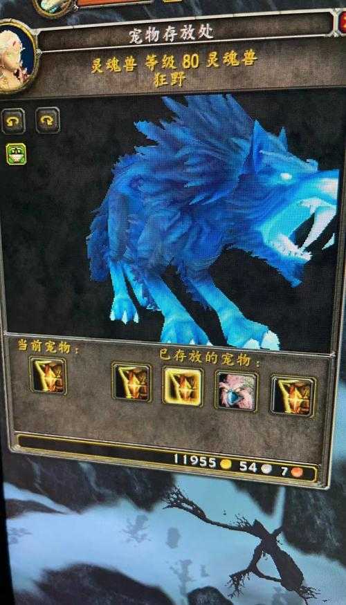 海加尔山灵魂兽任务需求详解