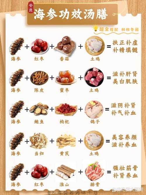 海参的7大功效与营养价值全解析