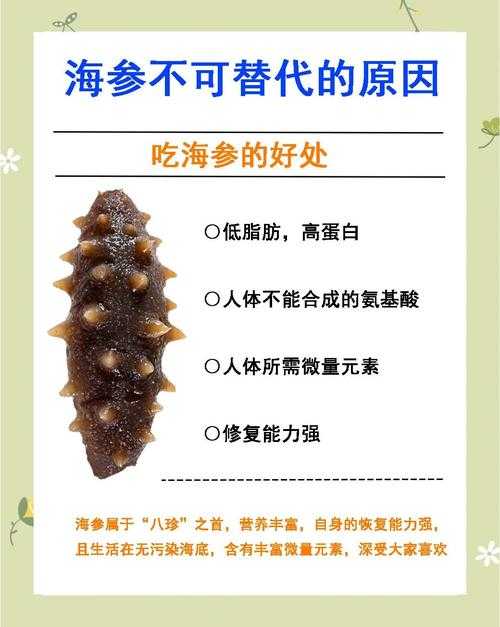 海参的7大营养功效与食用价值