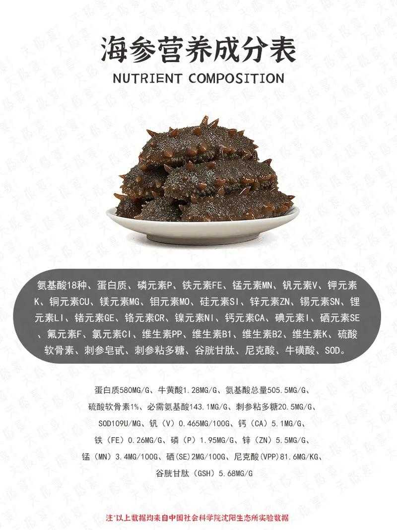 海参的营养价值与功效:滋补养生的海洋珍品