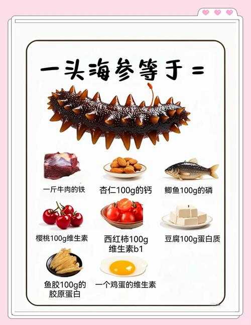 海参的营养价值与食用功效全解析