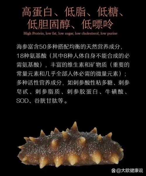 海参的营养价值及七大功效解析