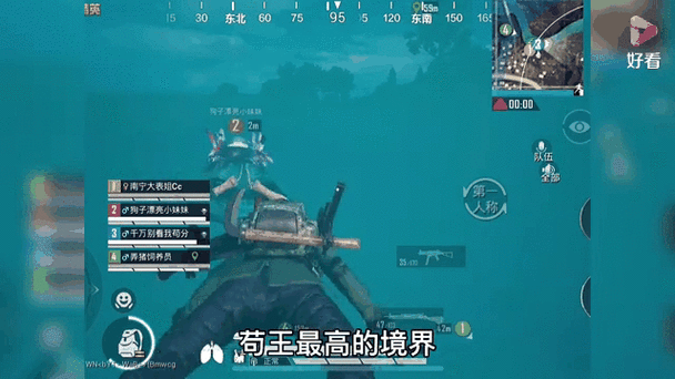 海岛偷车王视频和平精英的人