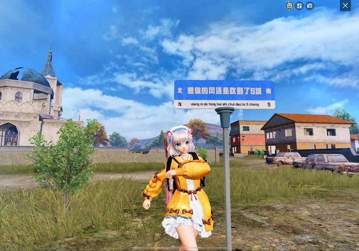海岛小嫂子和平精英 玩家,游戏,精英
