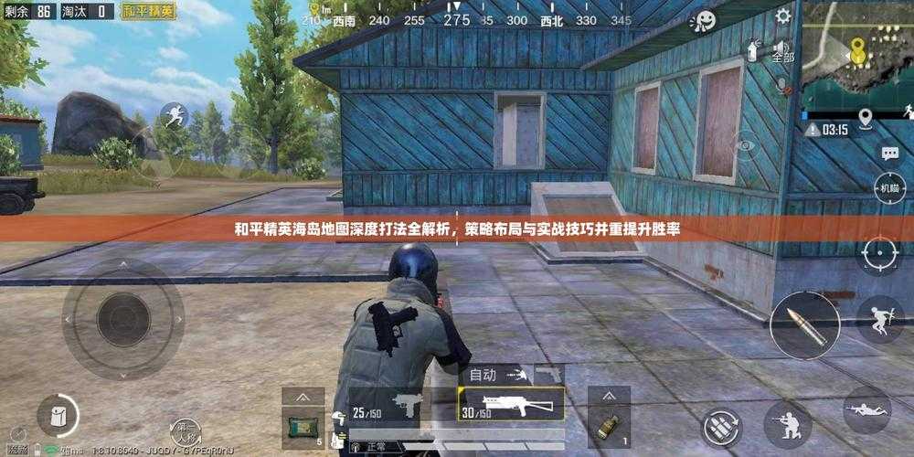 海岛开发商和平精英,突然 开发商,开发商