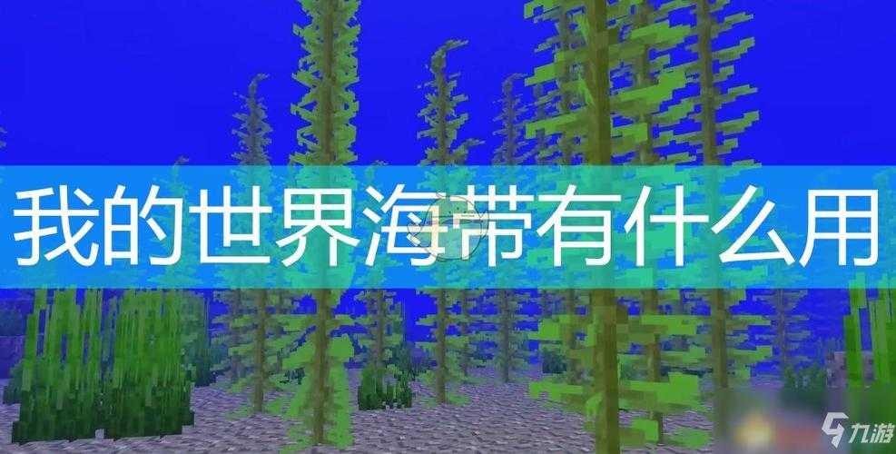 海带生长条件我的世界 海带 长条,生长