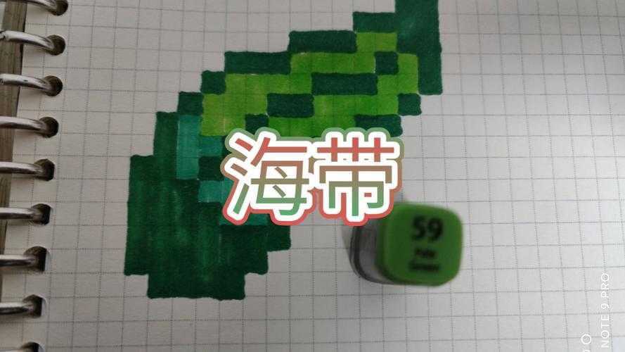 海带生长条件我的世界