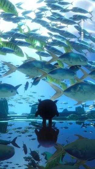 海底世界开放了蛋仔派对