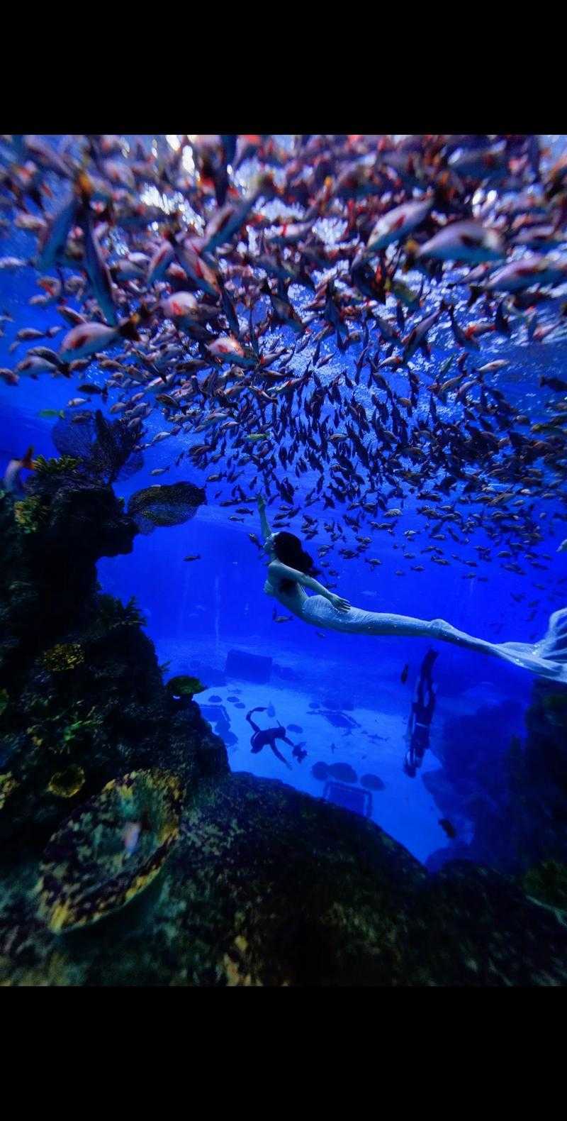 海底人玩我的世界视频