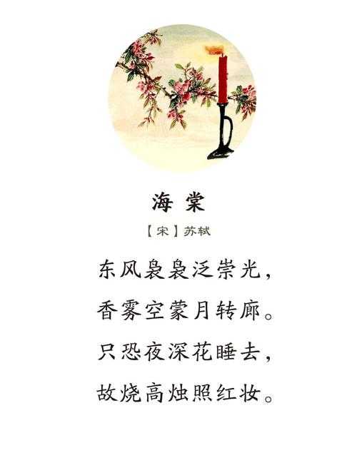 海棠小说免费阅读官网入口