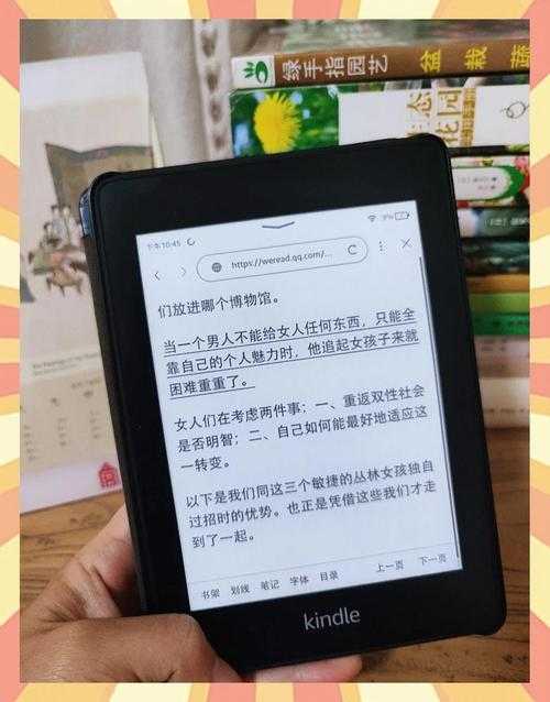 海棠搜书：冷门小说自由阅读指南
