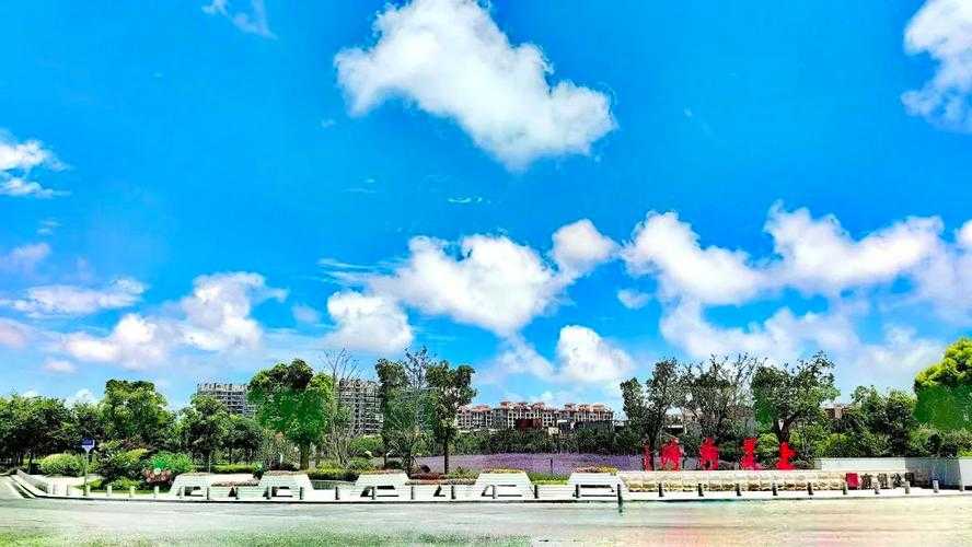 海棠网:最新资讯与热点内容一站式平台
