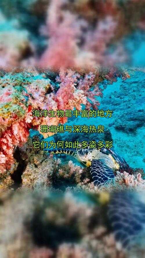 海洋中生物最丰富的区域在哪里