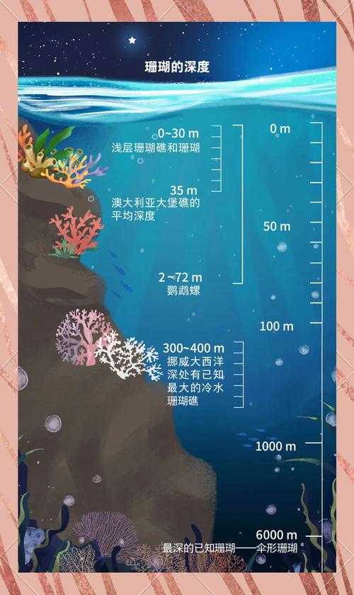 海洋生态系统类型分类及常见误区