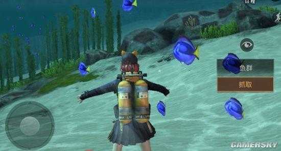 海洋资源怎么换明日之后