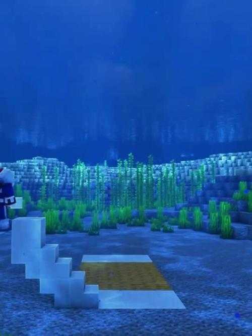 海洋馆建造我的世界视频