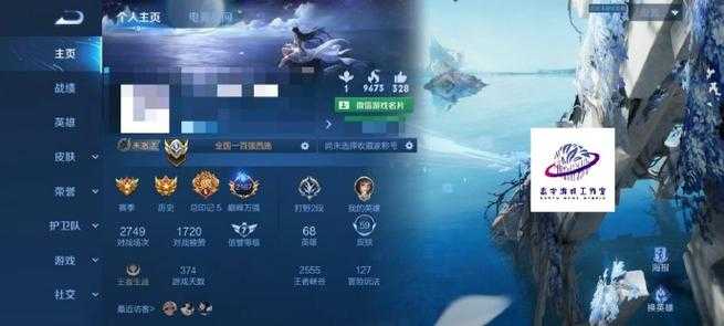 海王陪玩王者荣耀怎么样