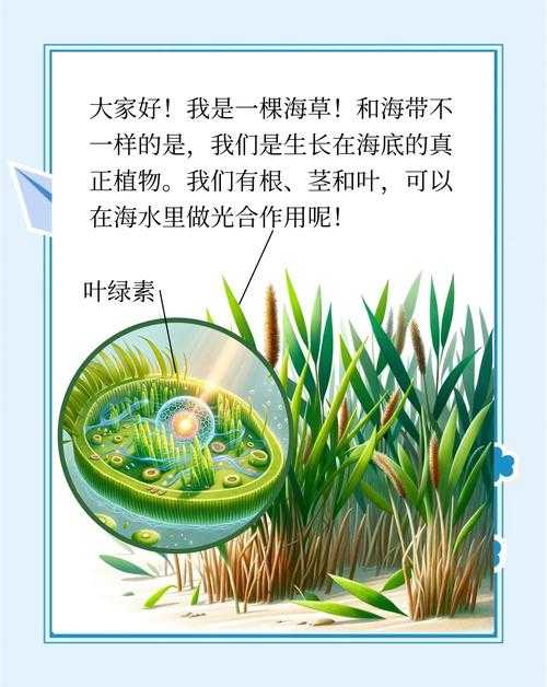 海草怎么放迷你世界视频
