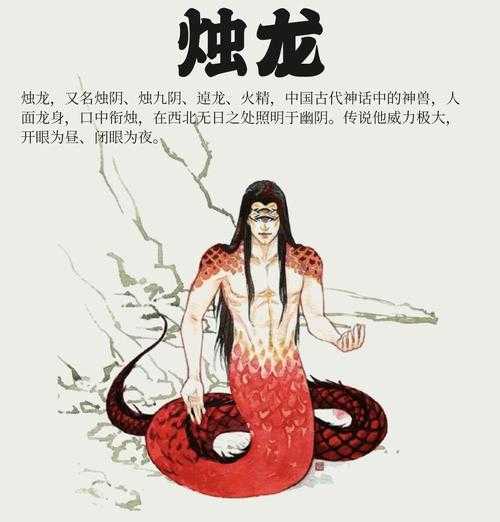 海蟾尊传说揭秘:神秘仙蟾的千年之谜
