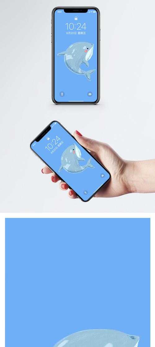海豚手机官网:如何选择合适的智能手机配件