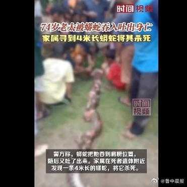 印尼8米巨蟒吞人事件深度解析,农村安全警示录