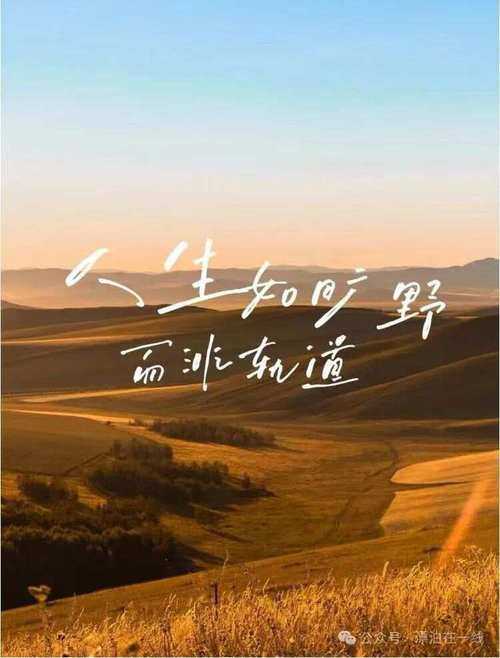 海阔天空:追逐梦想的壮阔人生旅程