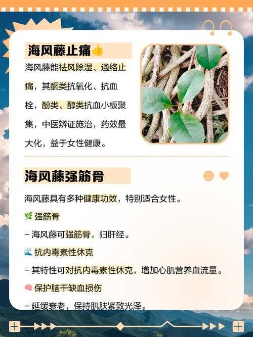 海风藤的功效与作用及食用方法