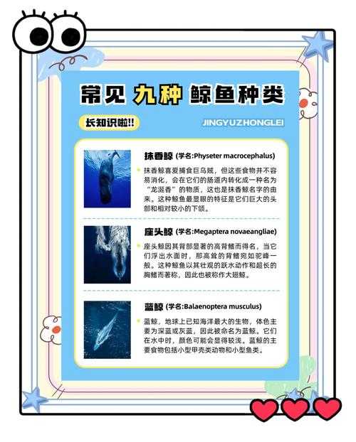 海马、鲸鱼、章鱼中哪个是真正的鱼