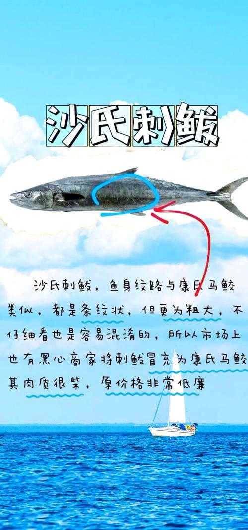 海马和金鱼的分类及区别解析
