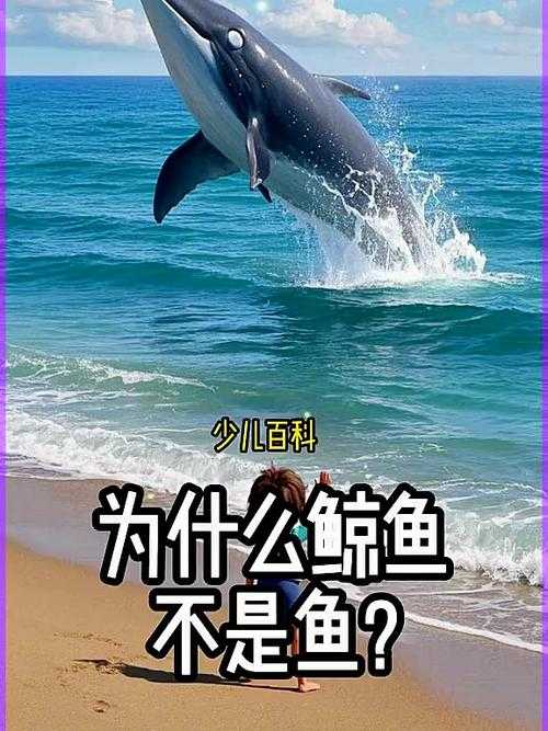 海马是鱼吗？鲸鱼为什么不算鱼类