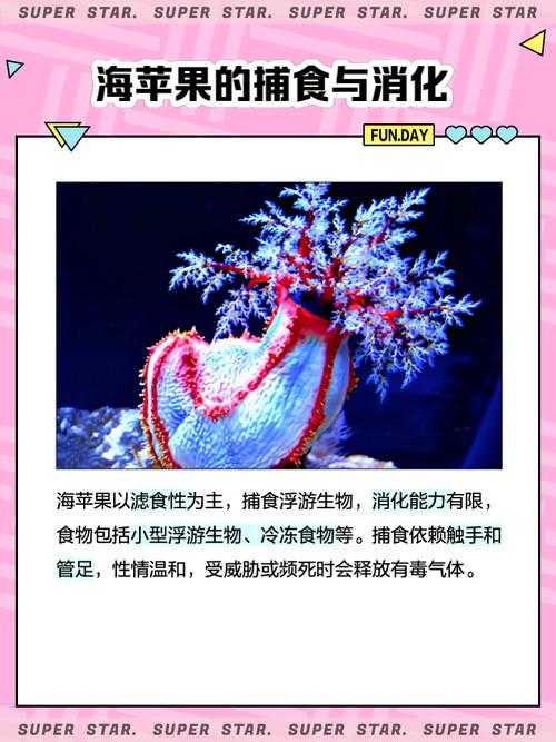 海马苹果搜索:如何利用健康应用进行搜索