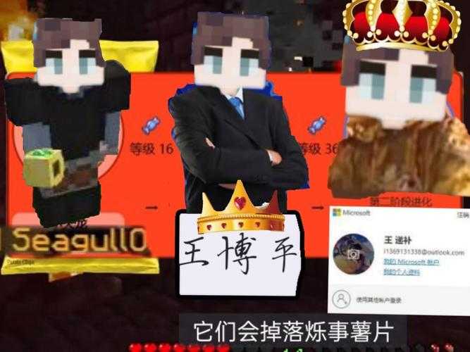 海鸥制作我的世界
