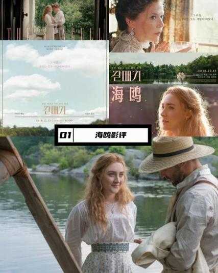 海鸥影视-全网热播剧免费在线观看