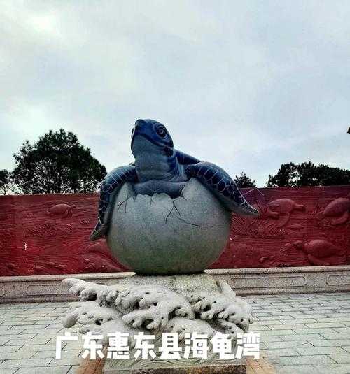 海龟坐骑的神奇之处是什么?,是什么 坐骑 海龟