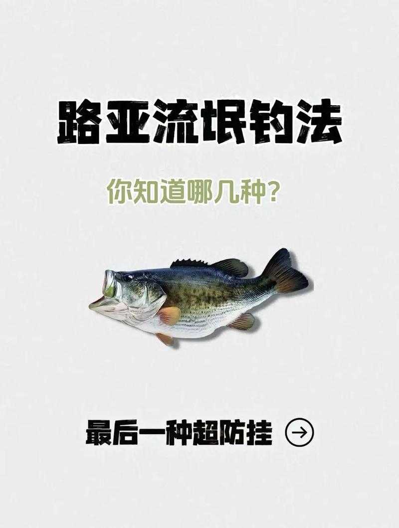 海龟垂钓技巧与钓点全攻略