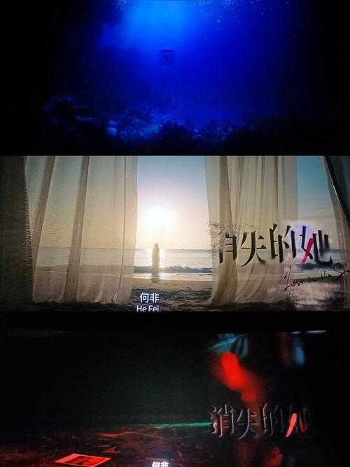 消失的她:真相背后的隐秘迷局