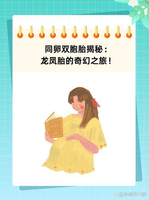 双胞胎兄弟的成长轨迹,从普通学生到清华园的蜕变
