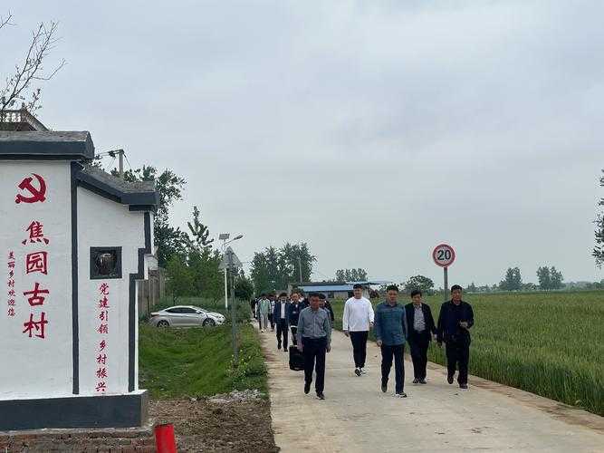 涡阳县最新动态:民生工程进展与乡村振兴成果