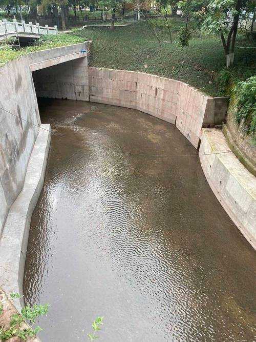 涡阳县最新动态:民生工程进展与经济发展亮点