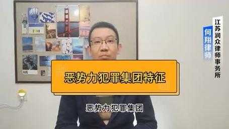 事件背景与犯罪集团特征