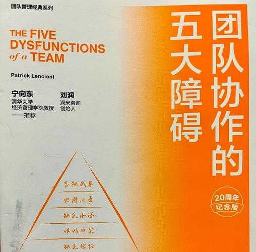 液体队夺冠过程中的团队协作:如何加强队员之间的配合