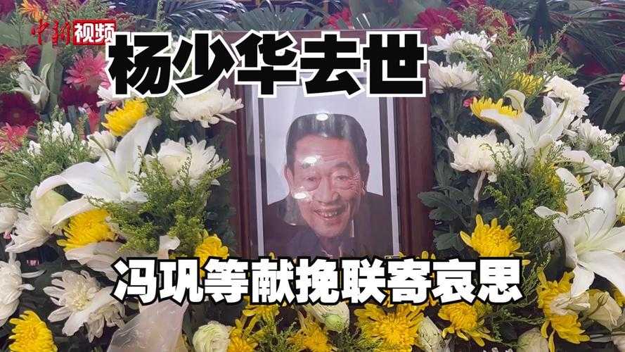 冯巩缺席杨少华葬礼引争议,一场不守礼背后的行业文化反思