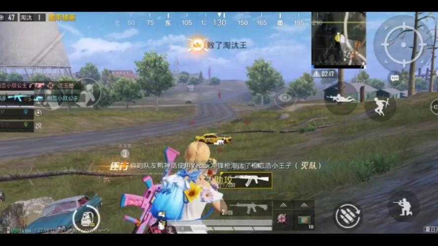 淘汰计数和平精英