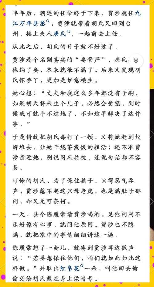 淡定小妾的逆袭人生