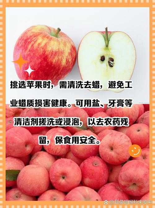 淡水苹果在维修过程中需要注意哪些安全事项