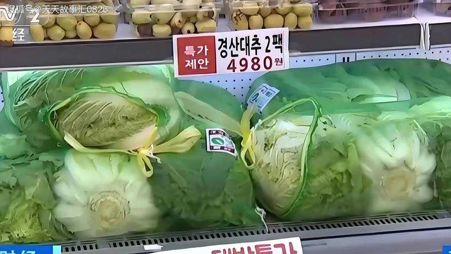 韩国高温致大白菜价格暴涨事件全解析