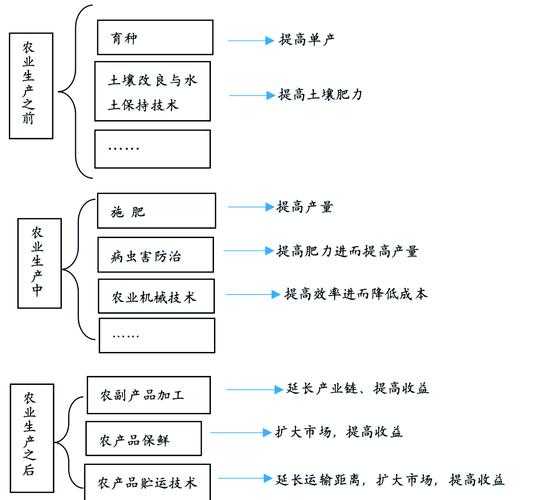 技术层面的结构性差距