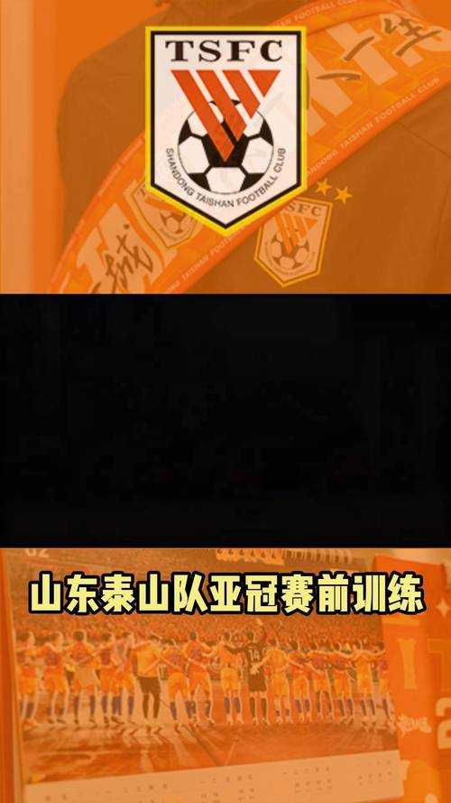 深入了解WeWind队的核心力量:你了解他们吗?