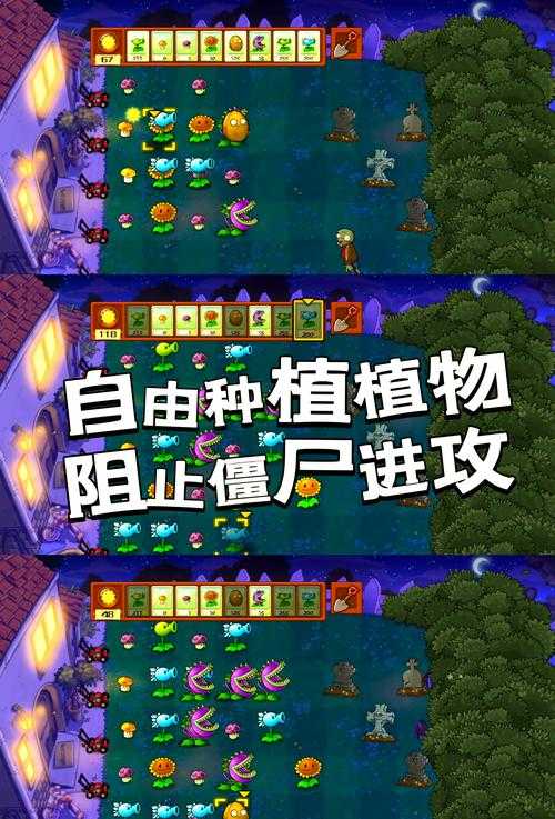 深入分析国内僵尸植物类游戏提供全面的游戏策略和心得