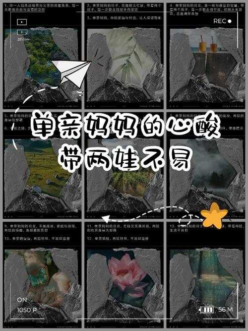 1.事件起因,单亲家庭的重组危机